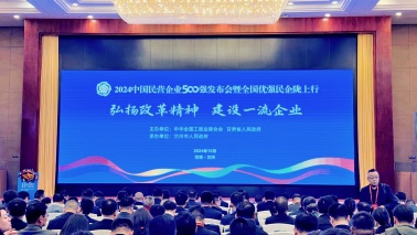 海王集团位列2024中国民营企业500强第240位，2024中国制造业民营企业500强第168位