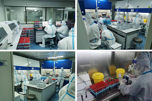 6378865219007259241687833.jpg 6378865219007259241687833.jpg